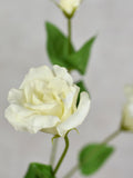 Real Touch Lisianthus Stem - High Quality Artificial Flower / Wedding / DIY Floral / Home Decorations / Gifts / Cream White FLOWER DELIVERY