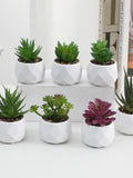 Artificial Flower Fake Plants Home Decor,Simulated Succulent Potted Plant Decoration faux plants