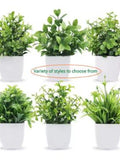 Artificial Small Green Plant Eucalyptus Flower Plant for Indoor Outdoor Home Bedroom Garden Decoration Supplies Craft Supplies Gift Ideas faux plants