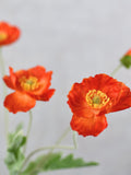 4 Heads Orange Red Poppy Stem - High Quality Artificial Flower / Wedding Bouquet / Arrangement / Centerpiece / DIY / Home Decoration / Gifts silk flower