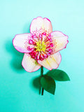 HelleBore Cherry Blossom  - Paper Flowers - Template - Instant Download - Video tutorial - SVG - Silhouette - Cricut - DIY flower spore