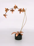 Metal Orchid #9 Copper Flower ANNIVERSARY