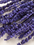 Preserved Lavender, purple color, wedding flowers, home decor, Lavender, dried flowers, preserved lavander, Lavandula Getrocknet, FLOWER DELIVERY