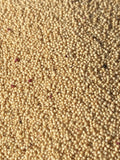 Amaranth Seeds seeds bulk