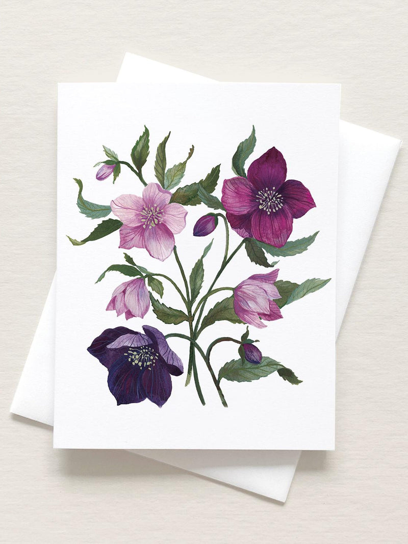 Hellebores Note Card flower spore
