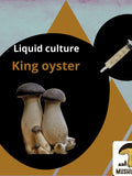 Organic King Oyster Mushroom Liquid Culture for Grain Spawn Inoculation- Grow mushrooms indoors flower spore