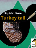Organic Turkey Tail Mushroom Liquid Culture for Grain Spawn Inoculation- Grow mushrooms indoors flower spore