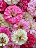 Strawberries and Cream Zinnia Seeds Mix, Hot Pink, Pale Pink and White, Zinnia Elegans ZE461C flower seeds