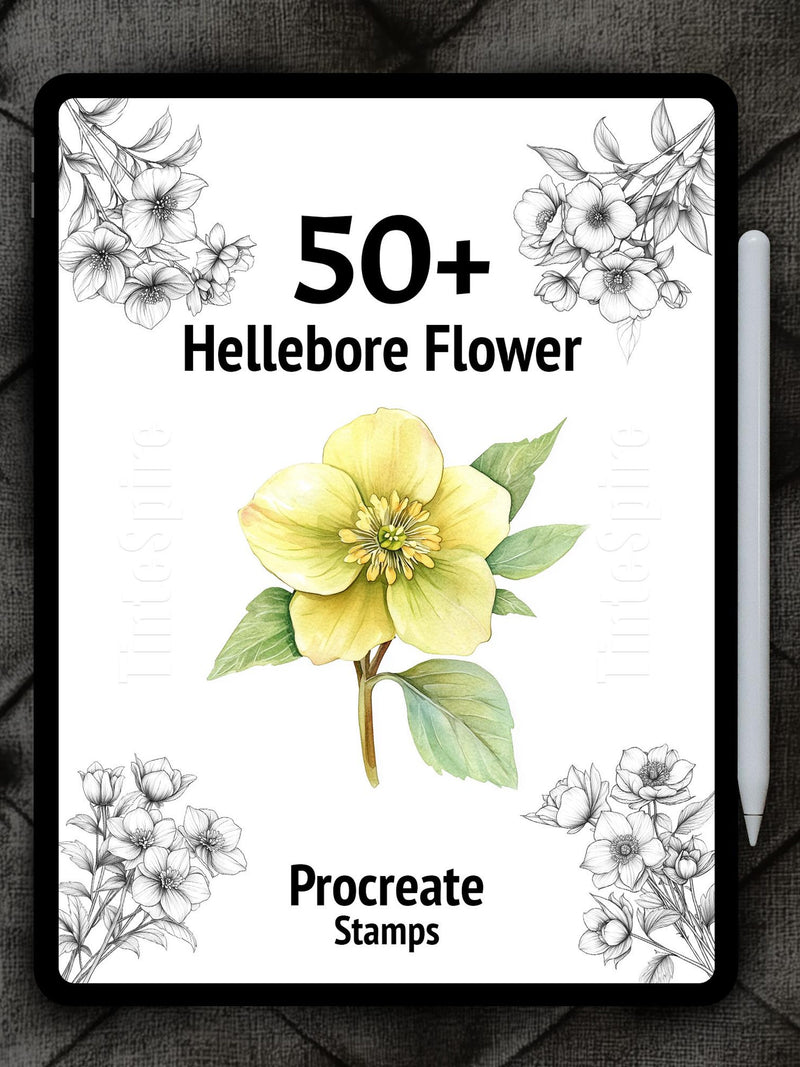 50+ Procreate Hellebore Flower  Bundle | Hellebore Flowers Brushes | Floral Procreate Stamps for Digital Art | Botanical Procreate | Nature flower spore