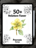 50+ Procreate Hellebore Flower  Bundle | Hellebore Flowers Brushes | Floral Procreate Stamps for Digital Art | Botanical Procreate | Nature flower spore