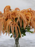 30" Faux Orange Amaranth Tails Branch: DIY Floral Arrangement faux plants