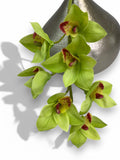 26" Green Cymbidium Orchid Stem: Real Touch Faux Floral faux plants