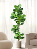 70-135cm Large Artificial Ficus Tree Fake Rubber Plants Branch Plastic Fiddle Leaves for Home Garden Indoor Outdoor Decor Party Decor Gift faux plants