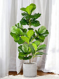 Realtouch Faux Fiddle Leaf Fig Tree: Artificial Plant Decor faux plants