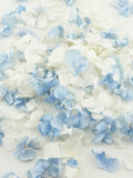 Eco-Friendly Freeze-Dried Petals | Flower Petals | 100% Natural | Wedding Confetti | Biodegradable | Wistful Ivory Blue wedding flower