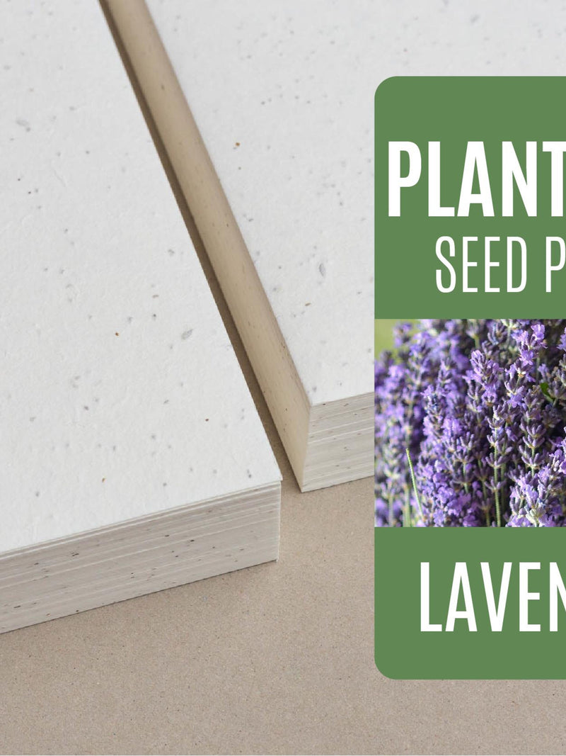 Seed paper Lavender - Bulk of blank plantable seeded paper sheets wholesale 150gsm 250gsm A4 A5 A6 letter size seeds bulk