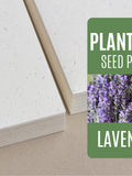 Seed paper Lavender - Bulk of blank plantable seeded paper sheets wholesale 150gsm 250gsm A4 A5 A6 letter size seeds bulk
