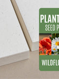 Seed Paper Wildflower Mix Poppy Daisy Myosotis - Bulk of blank plantable seeded paper sheets wholesale 150gsm 250gsm A4 A5 A6 letter size seeds bulk