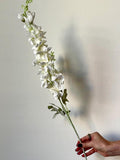 Artificial White Delphinium: Silk Wildflower Stem silk flower