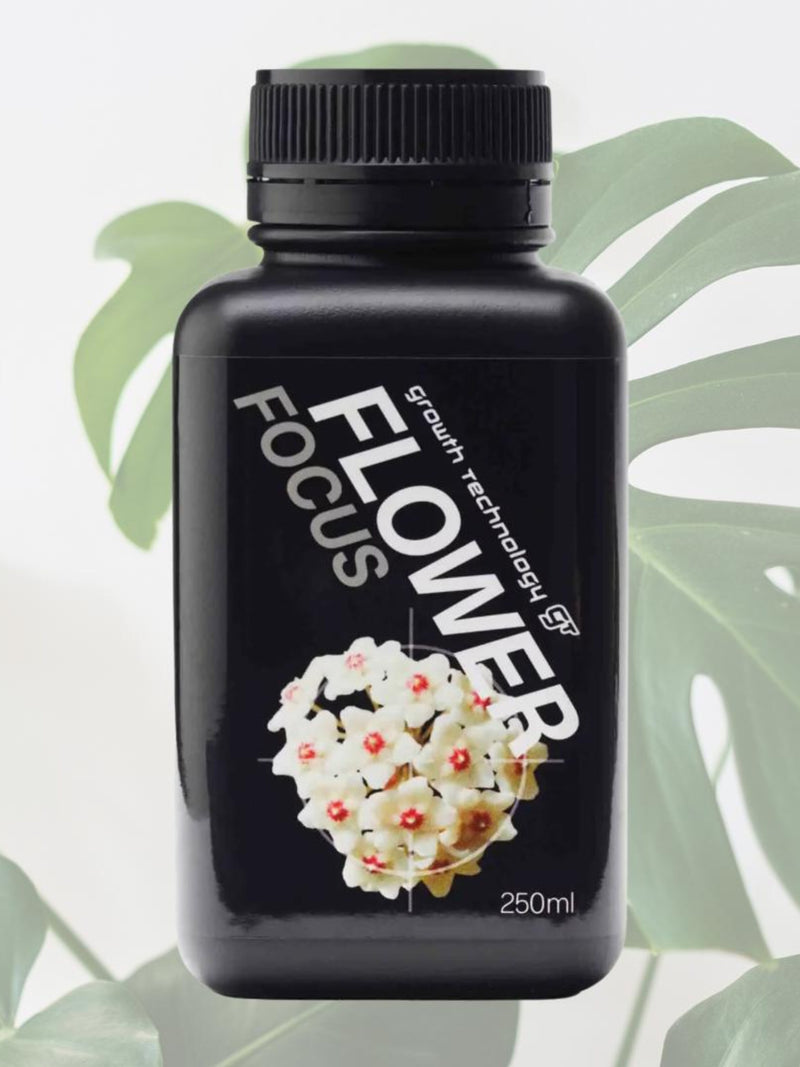 Growth Technology Flower Focus 250 mL Liquid Fertilizer for Flowering Plants and Blooms flower spore