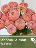 Zinnia Oklahoma Salmon Seeds | Wild Flowers | Wedding Flowers flower seeds