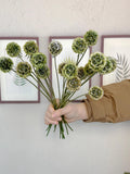 10 dusty green scabiosa flowers_dried natural retro scabiosa pod_flower arrangement_DIY flower supply_vase filler_home decor_wedding decor FLOWER DELIVERY