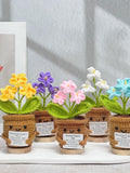 Adorable Crochet Forget me nots,Emotional Support Plant,Handmade Flowers Gift,Mother's Day Gift,Birthday Gift,Graduation gift,Gifts for her sympathy flower