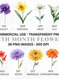 Watercolor Birth Month Flowers Clipart | 36 PNG Floral Illustrations | Birthday Flower Bundle | Commercial Use | Sublimation & Craft Design birthday flower