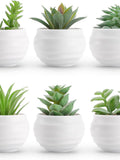 Set of 6 Succulents Plants Artificial in Pots Small Fake Plants for Bedroom Aesthetic Living Room Office Shelf Bathroom Decor faux plants