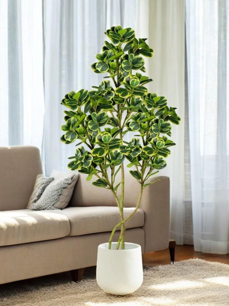 Faux Ficus Tree: Artificial Plant for Home Decor (76/115 cm) faux plants