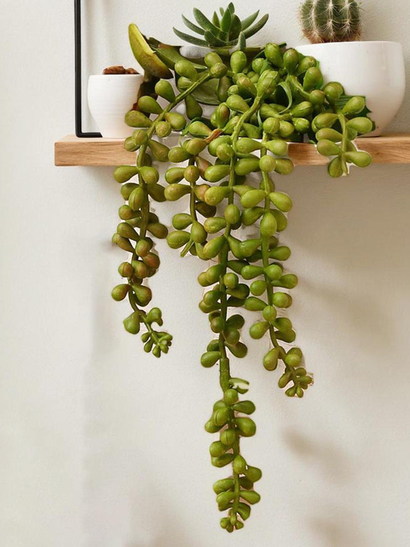Faux succulent tears string_14 inch_artificial green plants_DIY handcraft material_hanging wall decor_home wedding decor faux plants