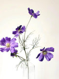 Real Touch Cosmo Flower, Purple Cosmo Spray, Summer Wild Flowers, Purple Flowers, Wedding Flowers, Venue Decor, Vase Arrangement, Flowers flower spore
