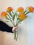 Faux Pincushion Protea Flower_Artificial Leucospermum flowers_real touch flower_DIY Flower Arrangement_Vase Flowers_Home Wedding Decor faux plants