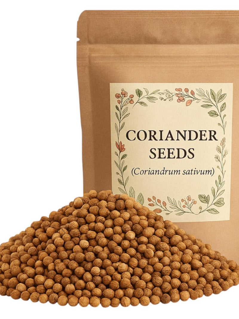 Coriander Seeds | Coriandrum sativum Premium Grade | Herbal seeds bulk