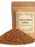 Coriander Seeds | Coriandrum sativum Premium Grade | Herbal seeds bulk