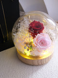 Preserved Rose Flower Dome: LED Night Light, Birthday Gift_ Mother's Day gift_ Mom and Grandma's Gift ANNIVERSARY