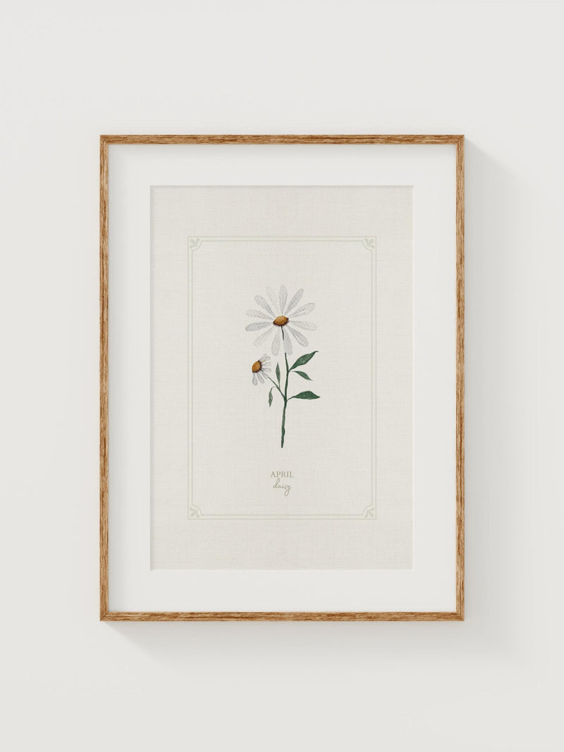 Daisy Watercolor Print: April Birth Month Flower GiclŽe Art birthday flower
