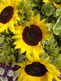 SUNFLOWER 'BIG SMILE' Helianthus Annuus, 25 Seeds flower spore