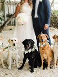 Elegant Dog Wedding Flower Collar & Pearl Leash Set Ð Faux Floral Collar with Bow Ð Photoshoot and Ceremony Outfit for Medium to Large Dogs wedding flower