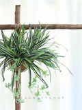 High Quality Artificial Spider Plant Hanging Plant Chlorophytum Fake Greenery Faux Plant For Wall Decor Indoor Outdoor Decor faux plants