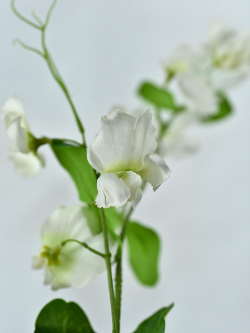 Faux Sweet Pea Stem - Artificial Flower Spray / Wedding / DIY Floral / Home Decoration / Gifts / White faux plants