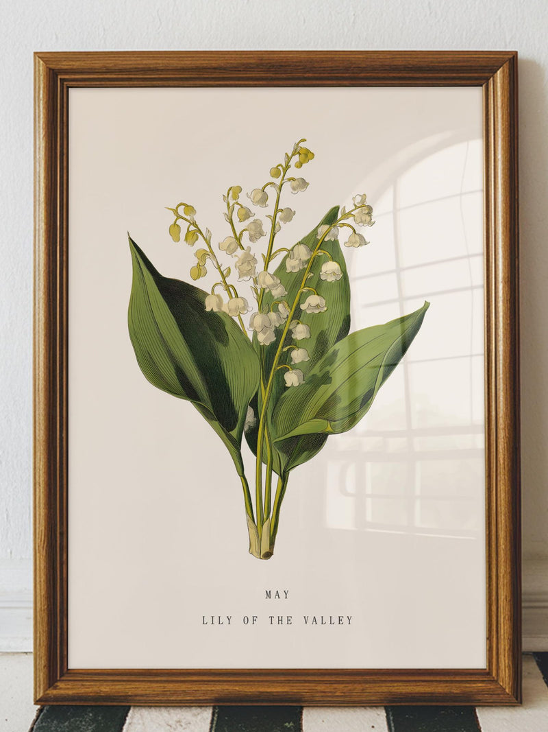 May Lily of the Valley Birth Flower Print, May Birth Flower, Vintage Botanical Wall Art, May Birthday Gift for Her, Lily of the Valley Print birthday flower