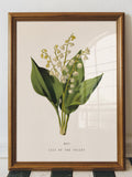 May Lily of the Valley Birth Flower Print, May Birth Flower, Vintage Botanical Wall Art, May Birthday Gift for Her, Lily of the Valley Print birthday flower