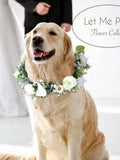Elegant Dog Wedding Flower Collar Ð Adjustable Faux Floral Dog Accessory wedding flower