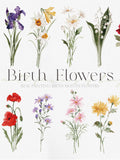 Watercolor Birth Flowers, Month Flower Clipart, Birth Flower PNG, Flower Bouquets, Watercolor Birth Month Flowers birthday flower