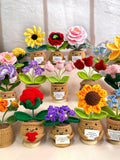 Handmade Birthday Flowers,Crochet Birth Month Flowers,Handmade Birth Flowers Plant Pot | Crochet Flower Home Decor,Mother's Day gift birthday flower