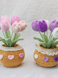 Crochet Flower in Pot, Crochet Tulip, Crochet Flower, Rose, Daisy Pot, Mother's Day Gifts, Birthday Gifts, Knit flower, Gift for Her, Mom birthday flower