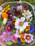 50+ Beautiful Edible Flower and Herb Mix seeds - Calendula, Bachlor buttons, Pansy, Basil, Thyme, Monarda and more... flower spore