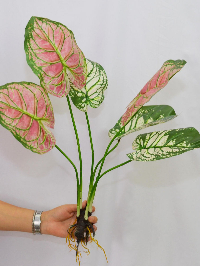 Artificial Caladium Plant with Roots, Faux Tropical Leaves Greenery, Home Garden Decor, Real Touch Fake Houseplant, Home Floral Arrangement faux plants