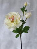 Faux Garden Rose Stem - High Quality Artificial Flower / Wedding / DIY / Floral / Home Decor / Gifts / Cream White silk flower